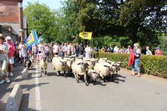 2023-05-transhumance-055